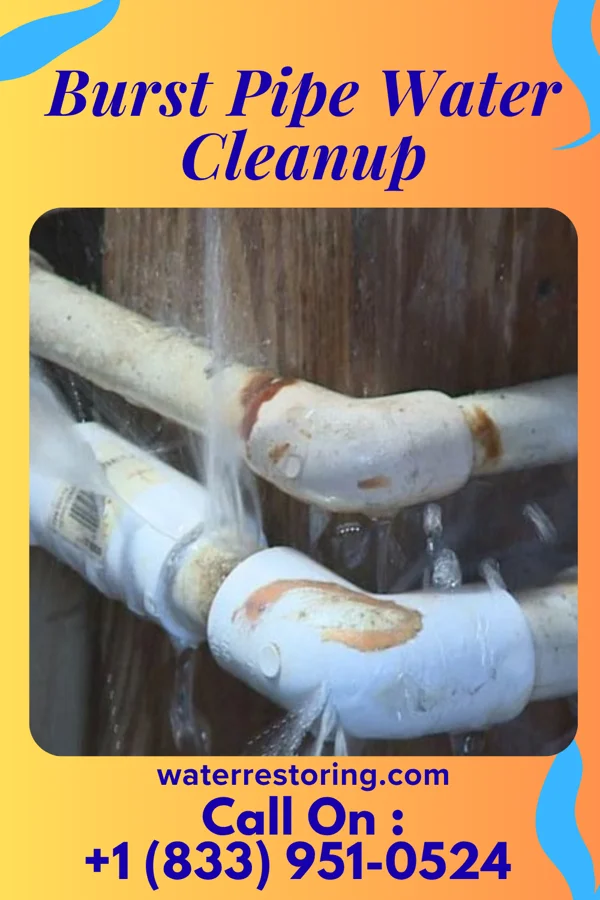 Burst Pipe Water Cleanup in East Arcadia, NC