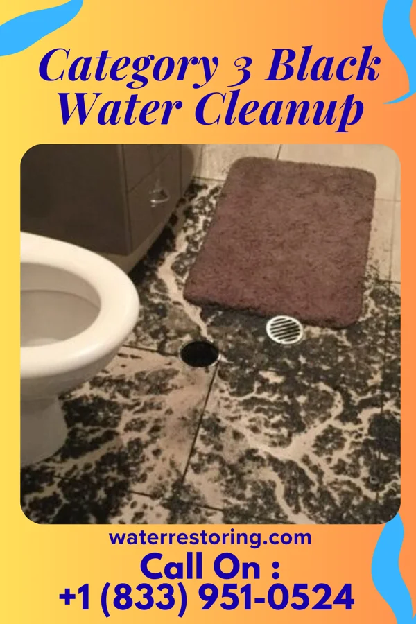 Category 3 Black Water Cleanup in East Arcadia, NC