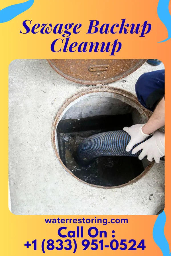 Sewage Backup Cleanup in East Arcadia, NC