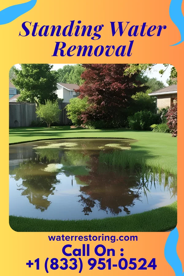 Standing Water Removal in East Arcadia, NC